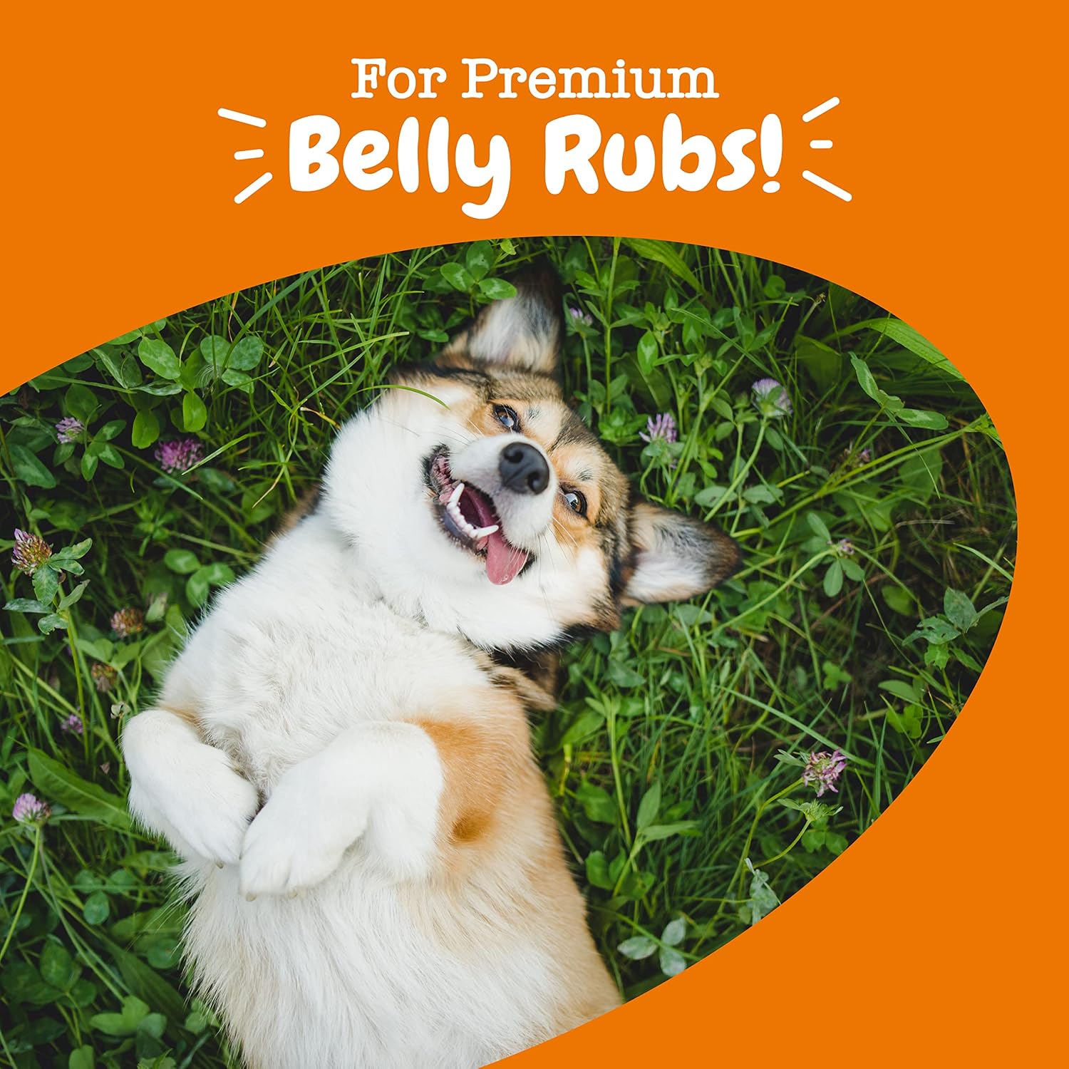 Zesty Paws Probiotics for Dogs - Digestive Enzymes for Gut Flora, Digestive Health, Diarrhea & Bowel Support - Clinically Studied DE111 - Dog Supplement Soft Chew for Pet Immune System - Pumpkin, 90ct