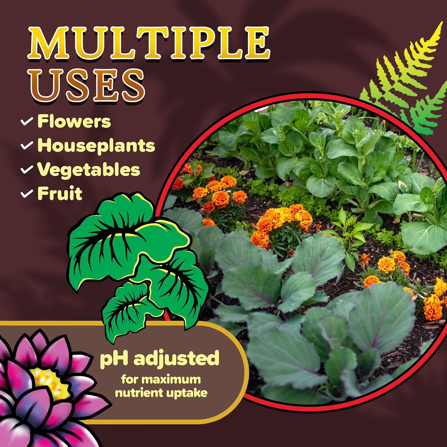 FoxFarm Happy Frog Potting Soil, 2cu ft (Pack of 2) - for Indoor/Outdoor Container Plants - Contains Mycorrhizae and Humic Acids