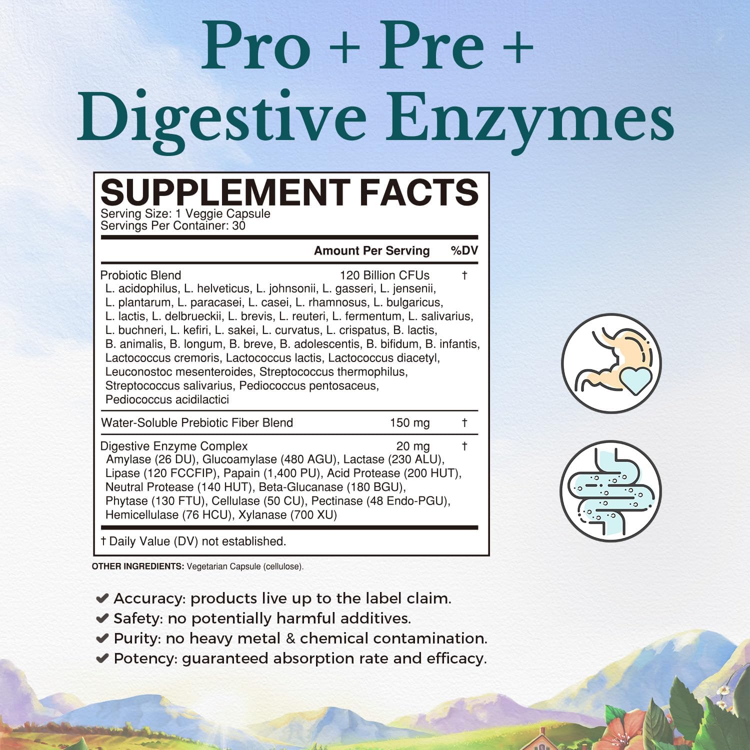 VITALITOWN Probiotics 120 Billion CFUs | 36 Strains