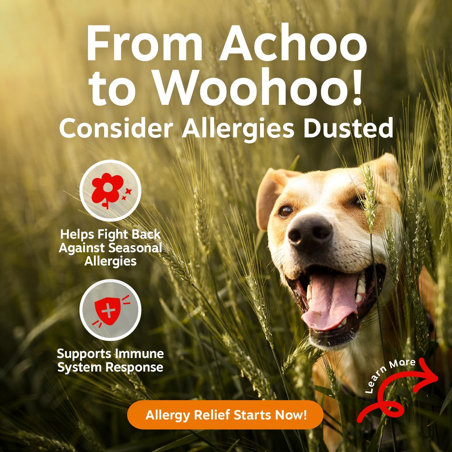 Zesty Paws Allergy Immune Bites - Dog Allergy Chews, Dog Probiotics for Itchy Skin and Ears, Lamb, 90ct