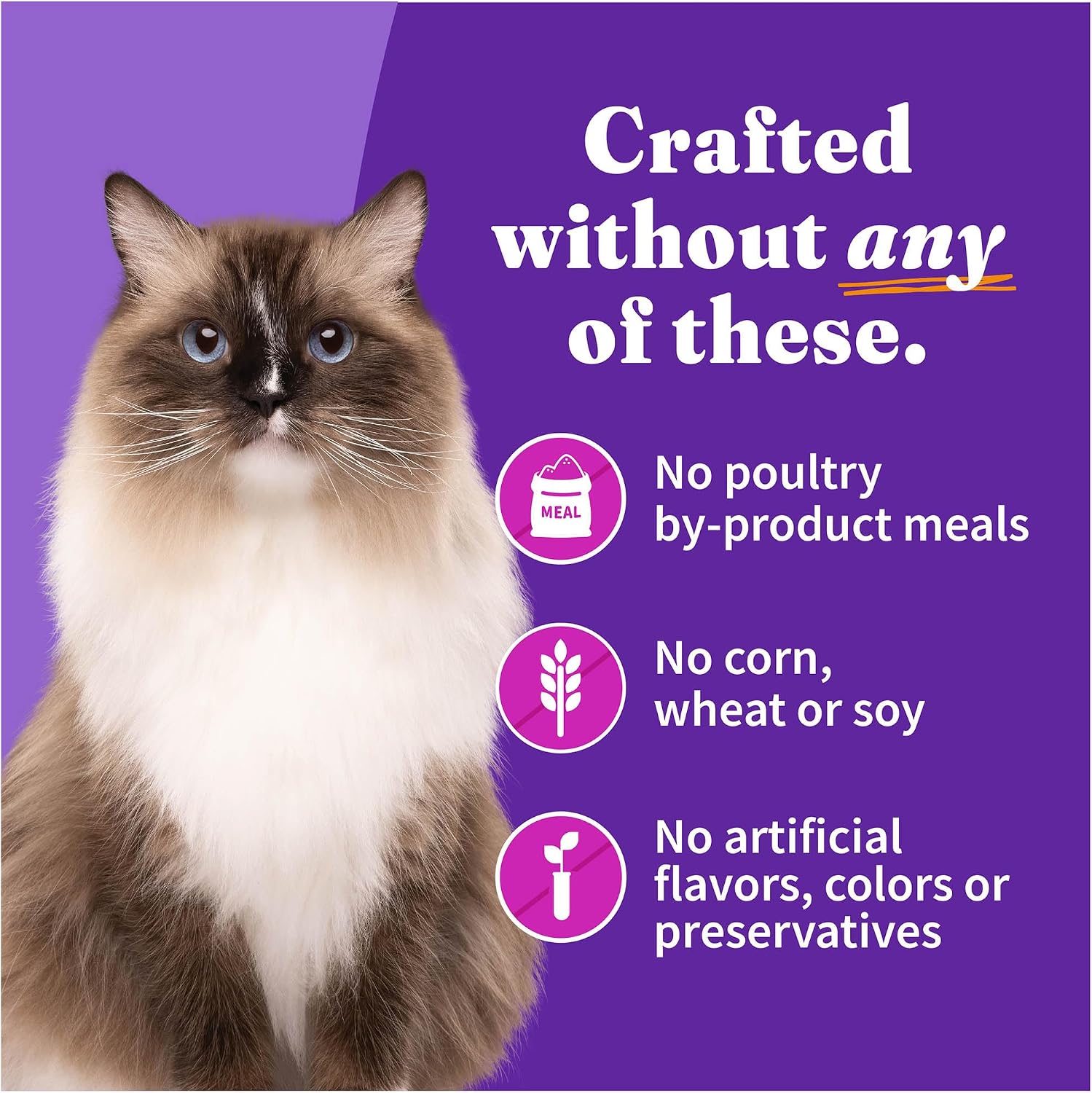 Halo Grain Free Soft Pate, Adult Cat Wet Food, Chicken in Broth Recipe, 5.5 oz, Case of 12