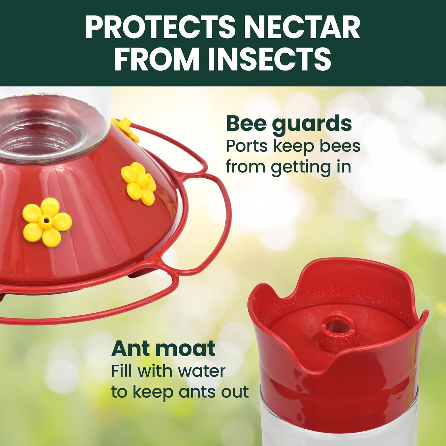 Perky-Pet 209B-1SR Glass Hummingbird Feeders for Outdoors Hanging - 30 fl oz Nectar Capacity - Ant & Bee Guarded Red Bird Feeder
