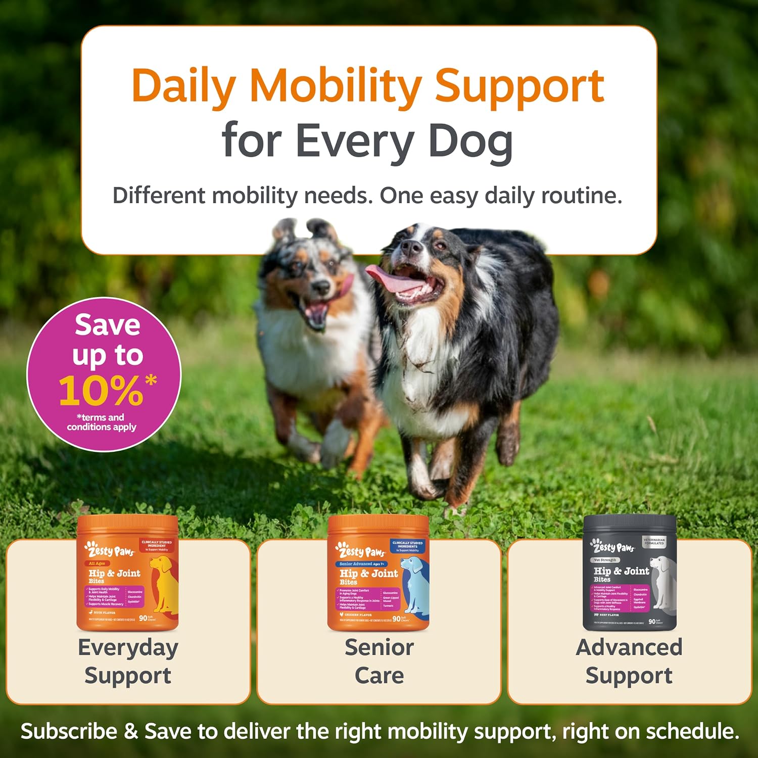Zesty Paws Hip and Joint Supplement for Dogs - Glucosamine with Chondroitin, MSM, Vitamins C and E Dog Joint Relief - Mobility Bites Duck – 90 Count