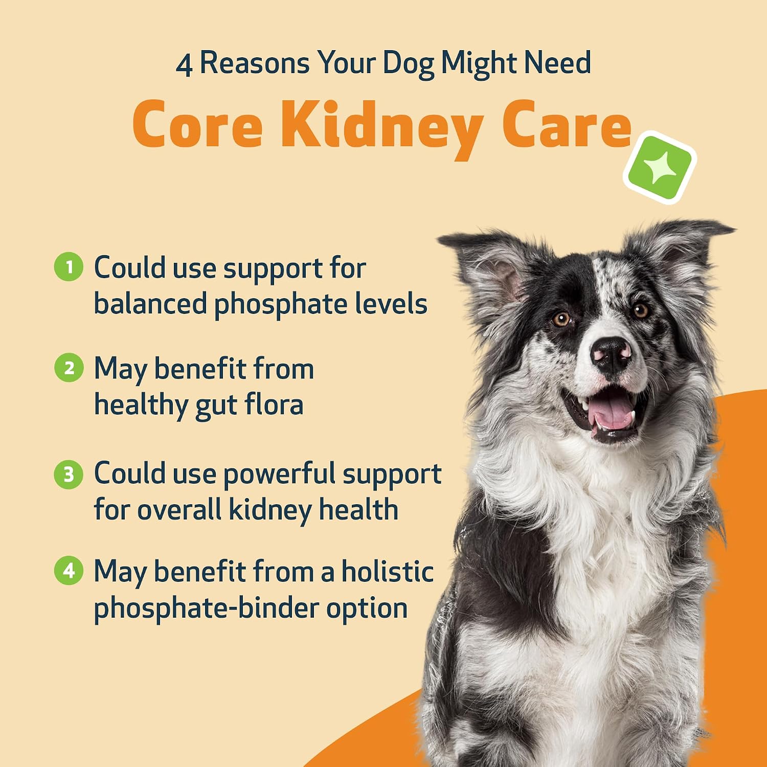Pet Wellbeing Kidney Support Gold for Dogs - Kidney Care & Hydration, 2 oz
