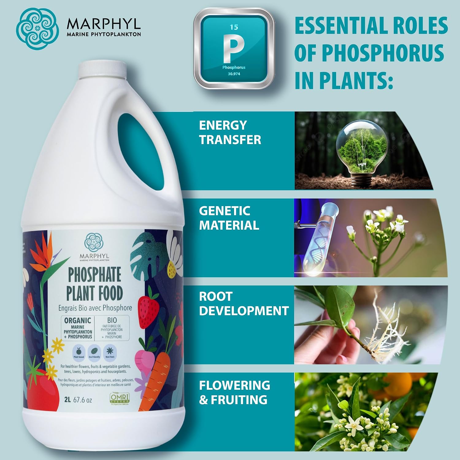 MARPHYL All-Purpose Plant Food – Organic Nutrient-Rich Fertilizer & Soil Enhancer for Indoor & Outdoor Flowers, Vegetables, Succulents, Bamboo & Hydroponics