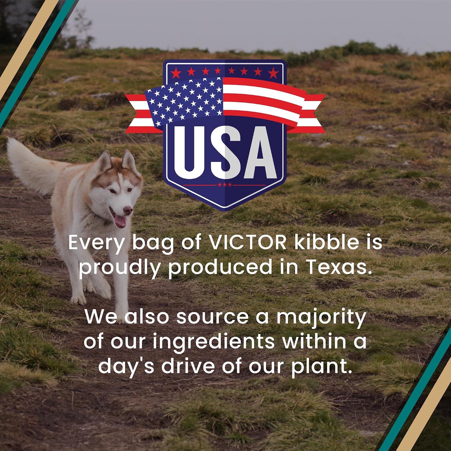 VICTOR Hi-Pro Plus Dry Dog Food - High Protein Gluten Free Dry Kibble, 5lb | Super Premium Dog Food, 30% Protein, Beef, Chicken, Pork and Fish Meals, For High Energy & Active Dogs & Puppies, 5lbs
