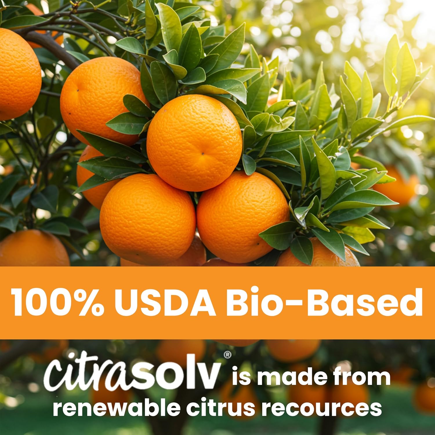 Citra Solv Concentrated Cleaner & Degreaser, Deodorizer, Home & Outdoor, Adhesive Remover, Paint Thinner, Natural Orange Oil, Valencia Orange 8 Fl Oz