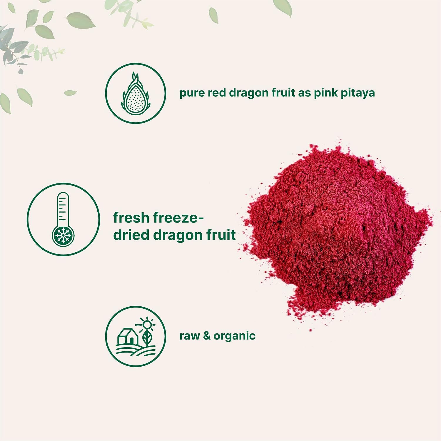 Micro Ingredients Organic Dragon Fruit Powder, 10oz | Natural Fruit Flavor | Freeze-Dried Pink Pitaya Source | No Sugar & Additives | Great for Drinks