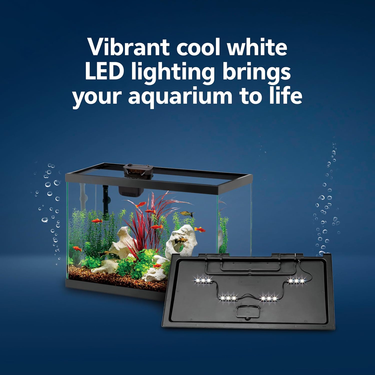 Aqueon Aquarium Fish Tank Starter Kit with LED Lighting 10 Gallon Fish Tank
