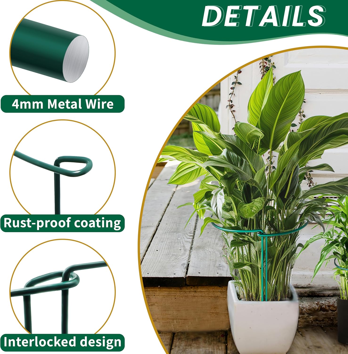 TCBWFY 10 Pack Garden Plant Support Stakes, 10" Widex16 High Heavy Duty Interlinked Half Round Peony Support Ring Cage for Indoor Outdoor Plants