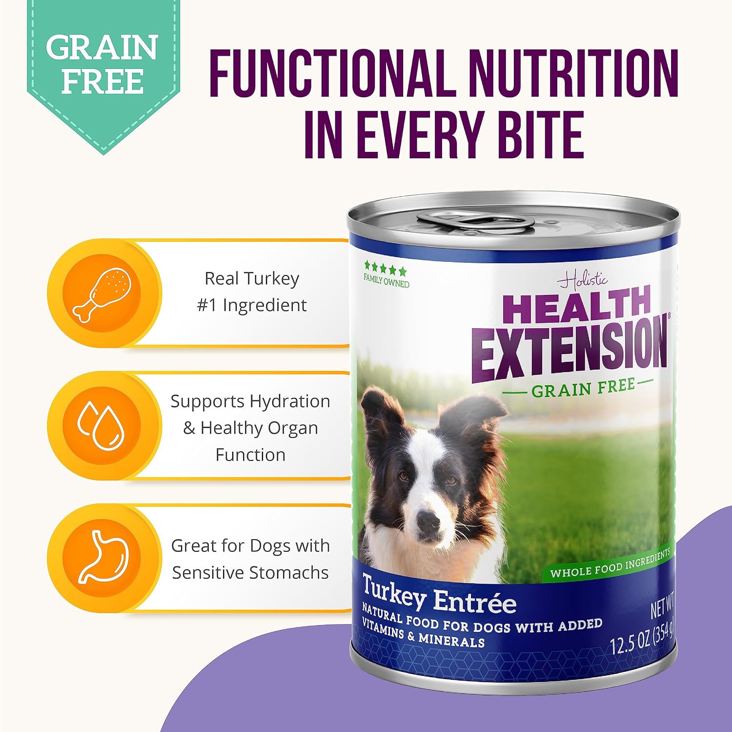 Health Extension Lamb Entrée Wet Dog Food, 12.5 oz – Protein-Rich Recipe, Hydration Support, Ideal for Sensitive Stomachs (Case of 12 Cans)