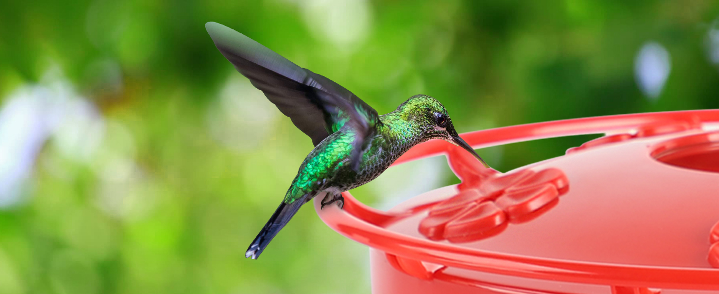 hummingbird feeders for outdoors