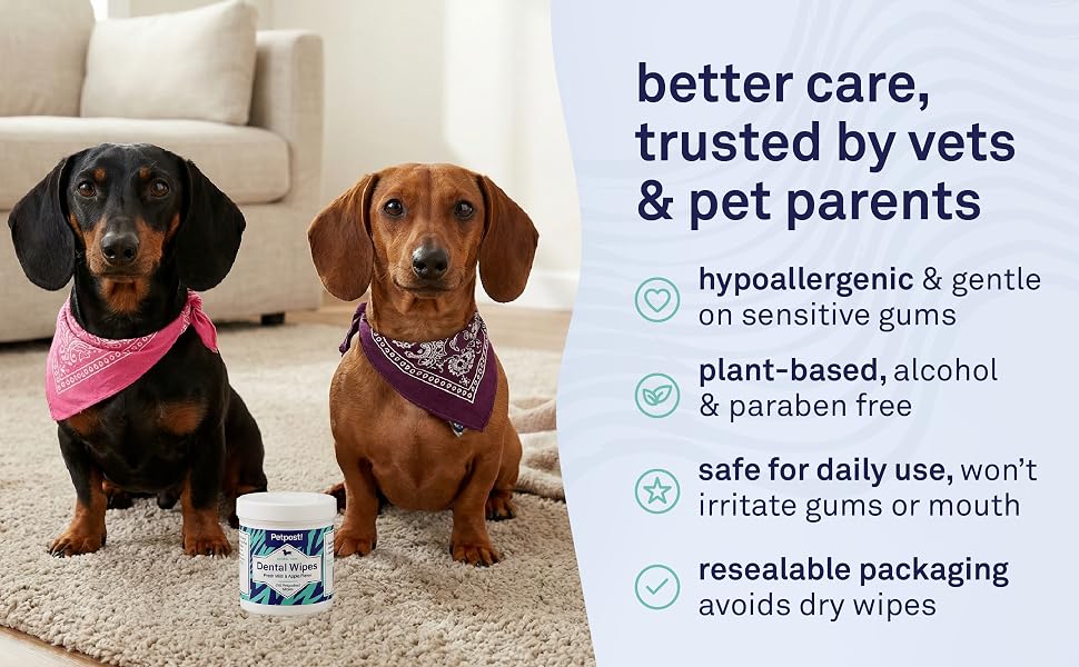Hypoallergenic dog dental wipes safe for sensitive gums and regular oral care