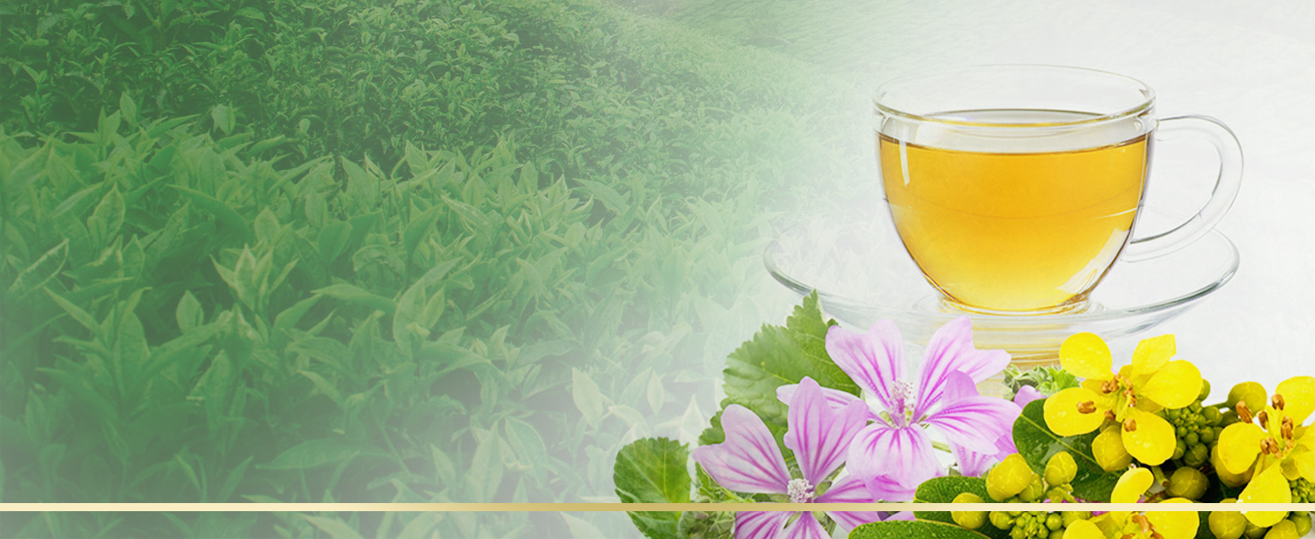 We suggest drinking small amounts of Uncle Lee&amp;#39;s diet tea, then increasing over time*