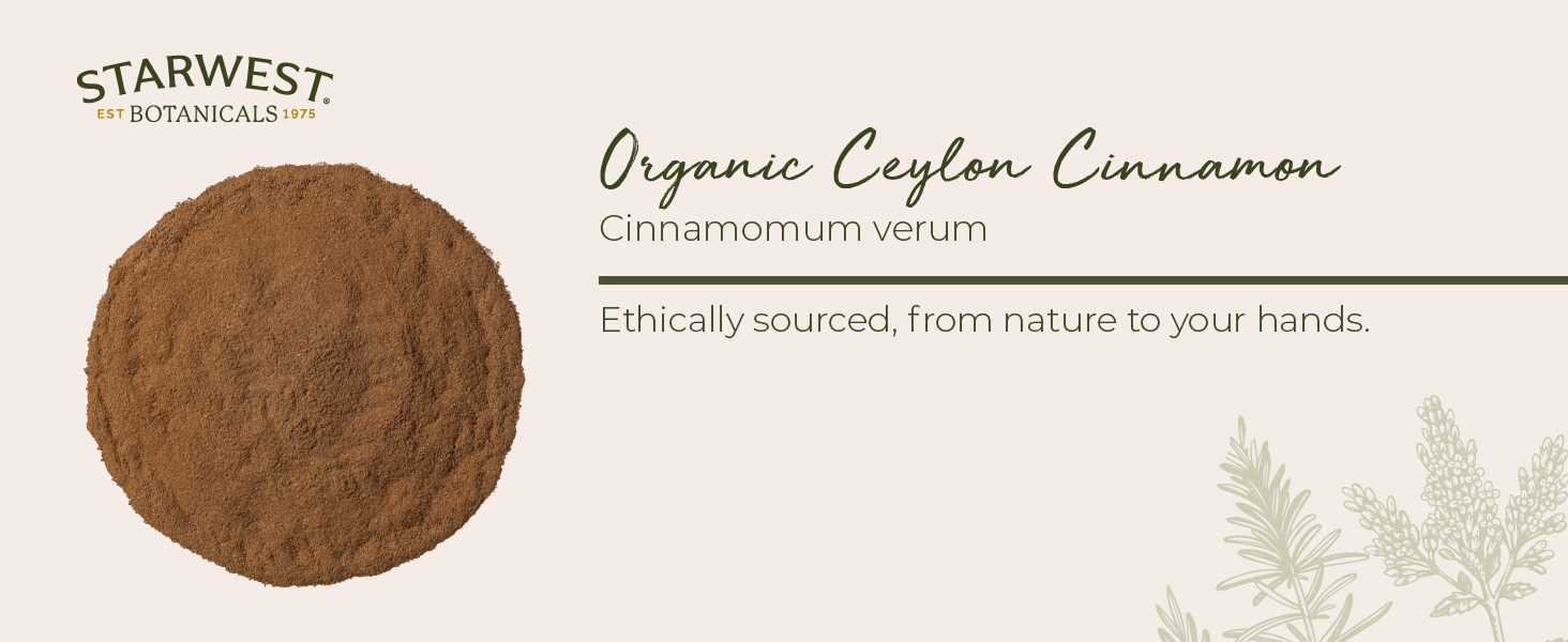 ceylon stick cinamon mexican canela ceylan organica en rama entera real fresh de powder cylone