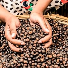 Guarana