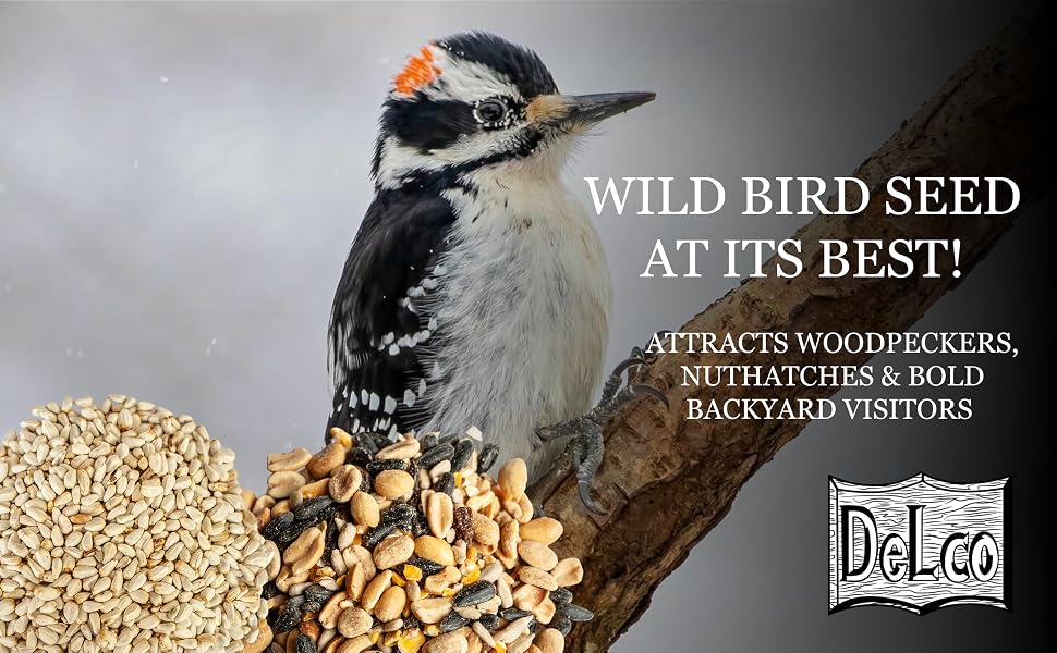 Woodpecker on a branch with safflower and woodpecker piles underneath