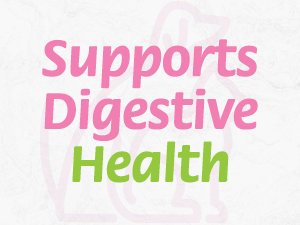 probiotic chews for dogs