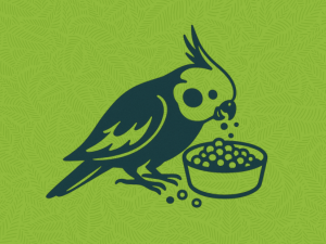 parrot food prevents picky eating