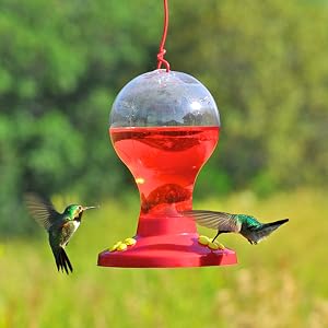 perky-pet red hummingbird nectar