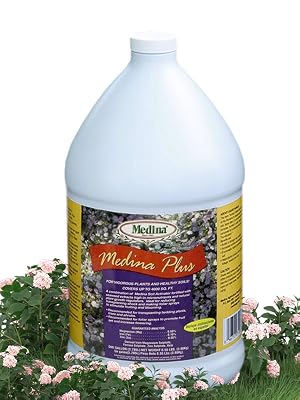 medina liquid seaweed