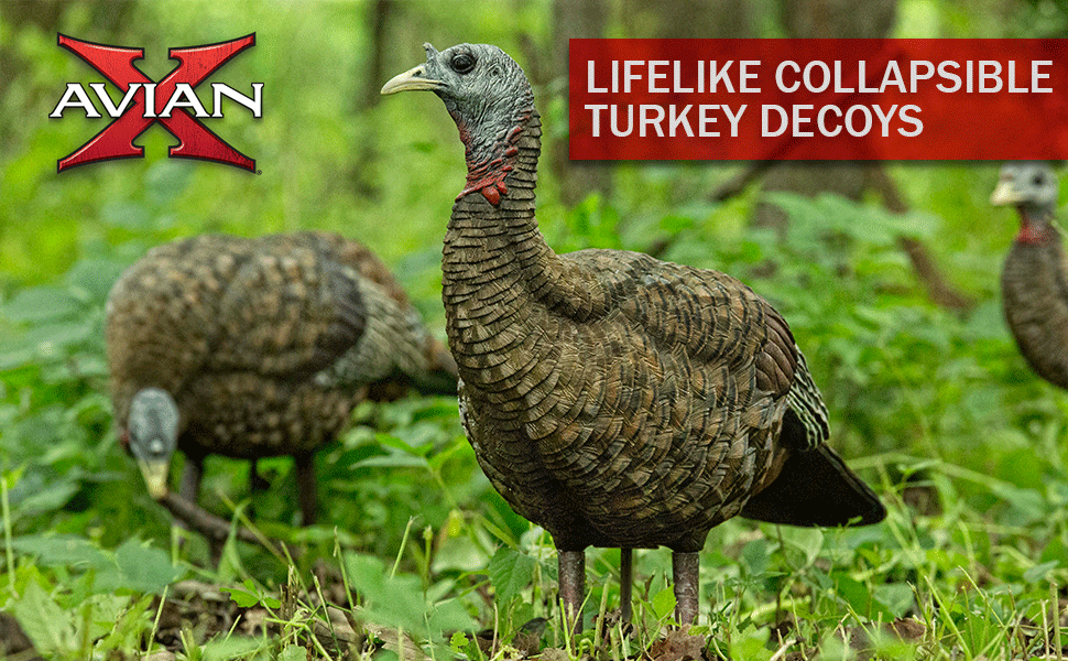 LCD turkeys decoys