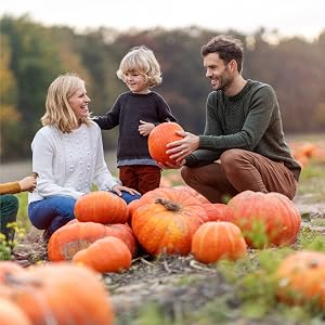 Pumpkin Picking