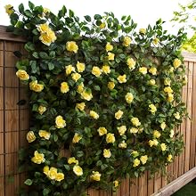 trellis