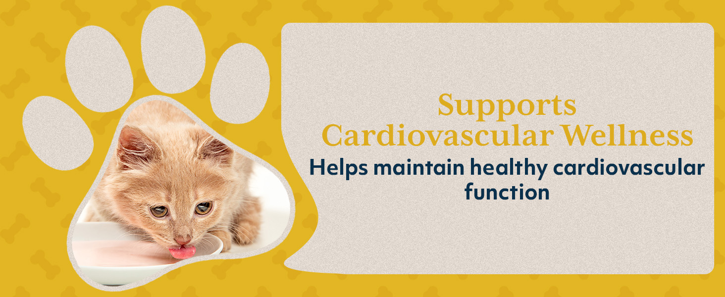 Supports Cardiovascular Wellness Helps Maintain Healthy Cardiovascular Function