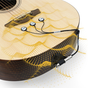 acoustic guitar