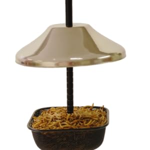 Mealworm Feeder for Wild Birds and Chickens