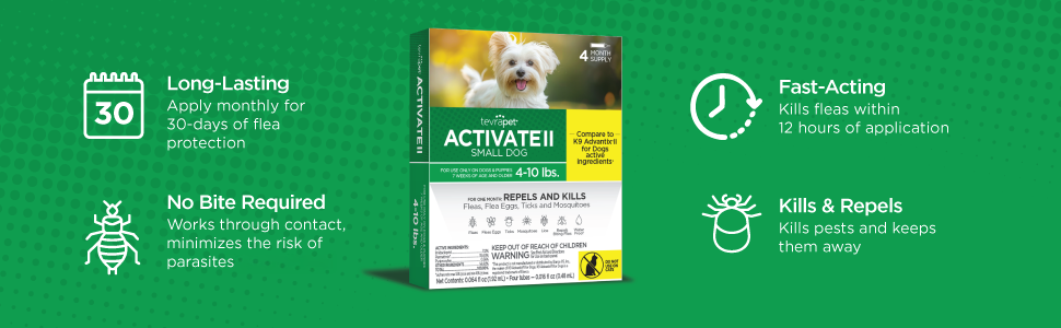 Activate II small
