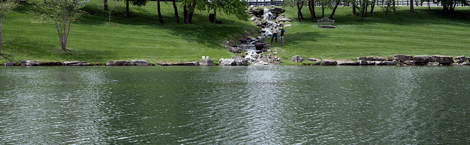 best fish food for bass in a pond