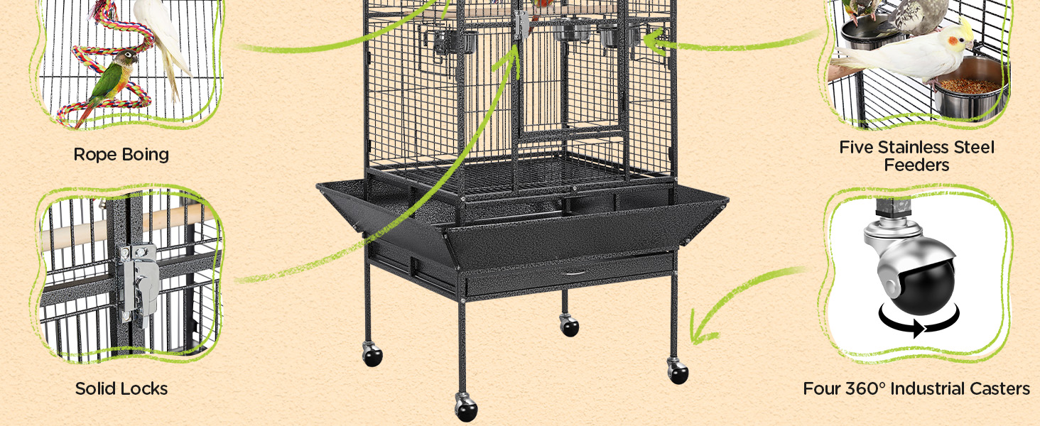bird cage