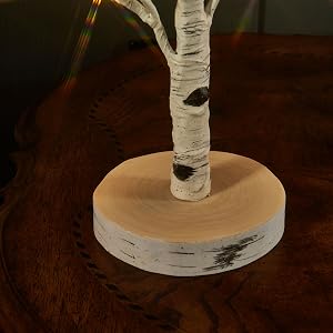 birch tree