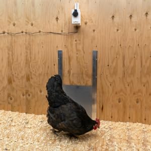 Automatic Chicken Coop Door Installed