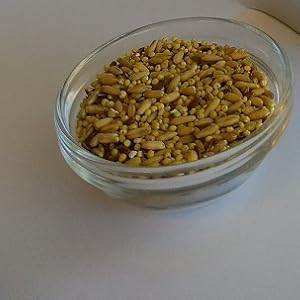 parrot food healthy nutritional seed grains soak dry feeding birds small large medium chew bowl cage