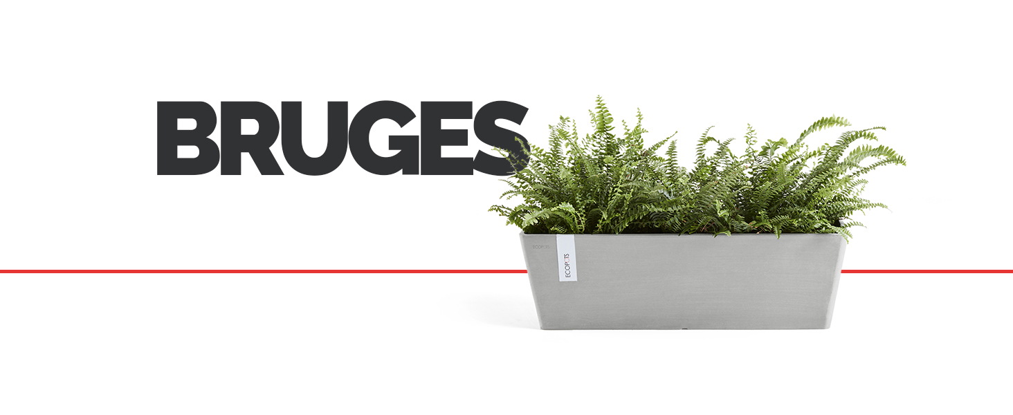 ECOPOTS Bruges Header