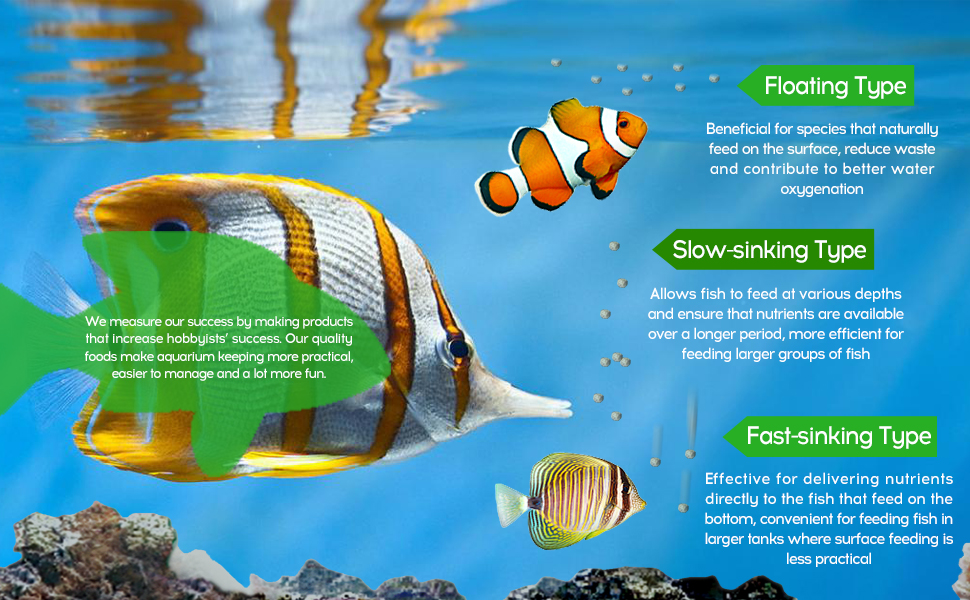 fish food