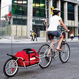 Maya Cycle in city