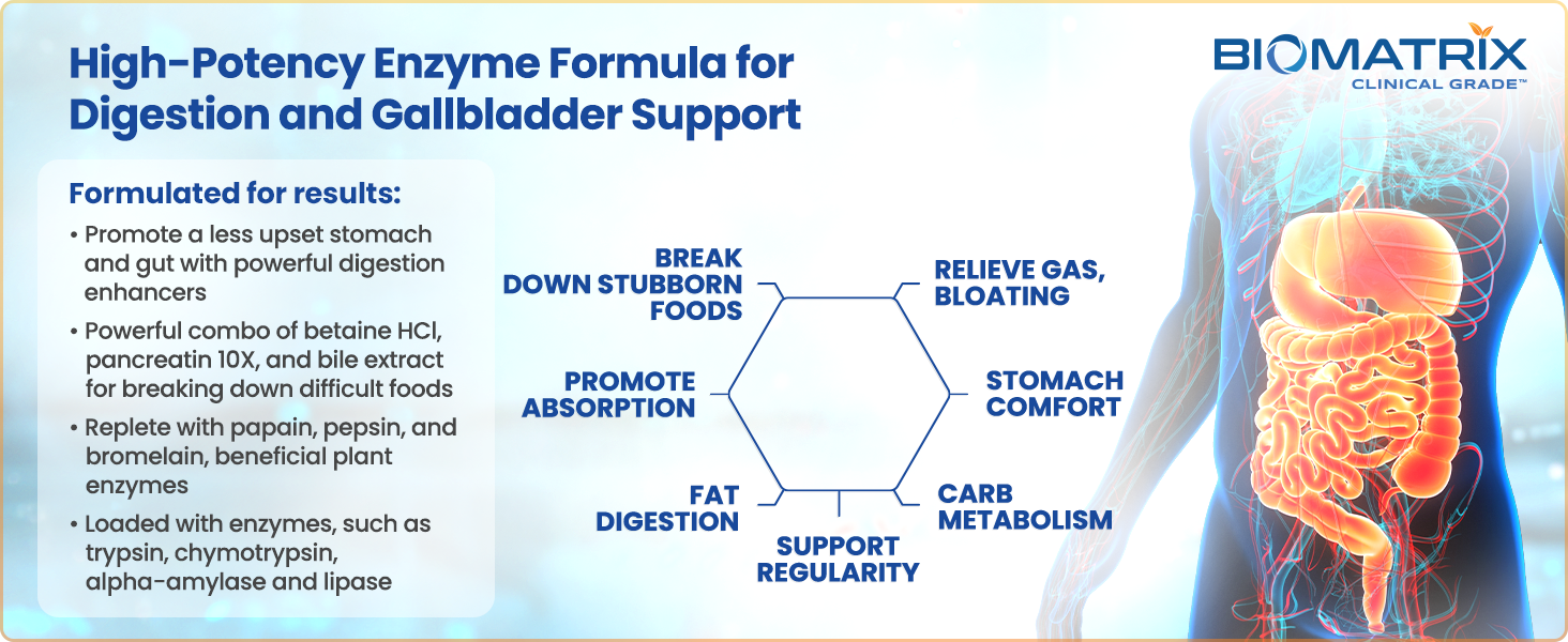 digestive enzyme supplement with pancreatin