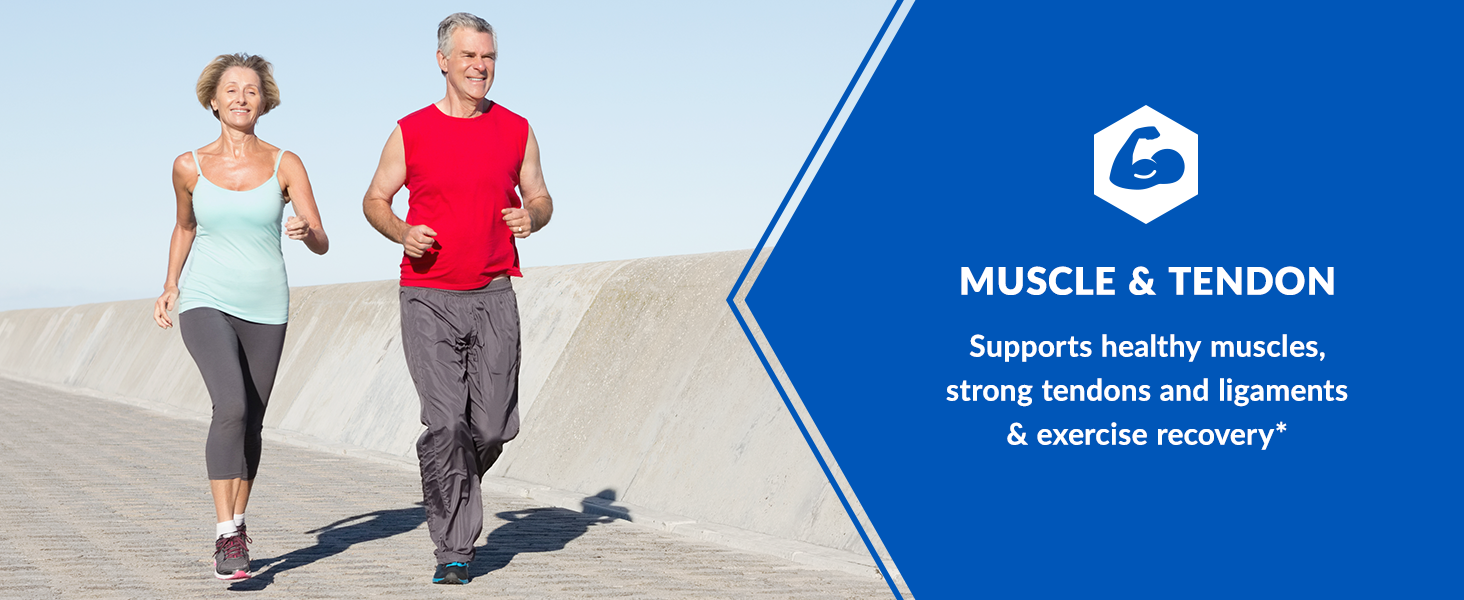 Support healthy muscles, strong tendons and ligaments while improving exercise recovery