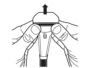 Lightly press upward with thumbs on Blade with the shaver facing you