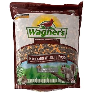 Backyard Wildlife Food