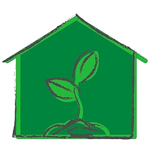 Seed To Store Quality