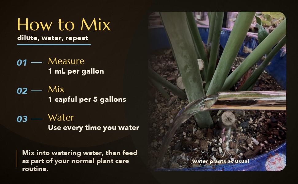 How to Mix
