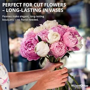 Cut Flowers