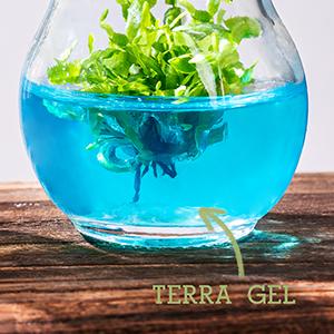 terra gel nourishment plant food