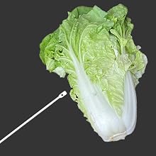 skewer the fresh veggies