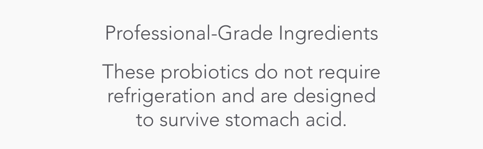 no refrigeration probiotics shelf stable probiotic acid resistant probiotic supplement